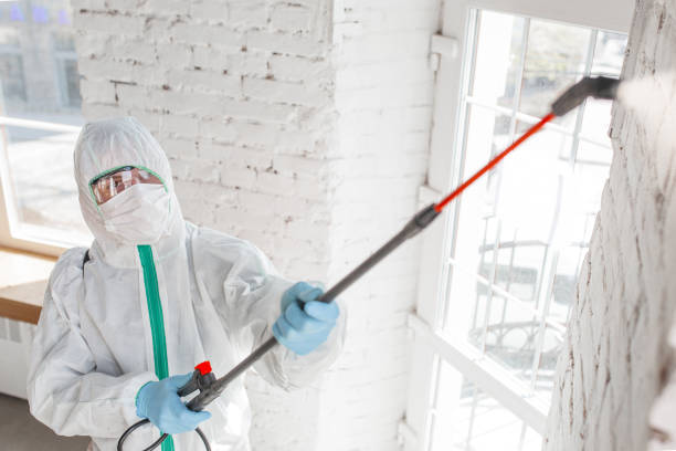 Best Real Estate Mold Inspection  in Canonsburg, PA