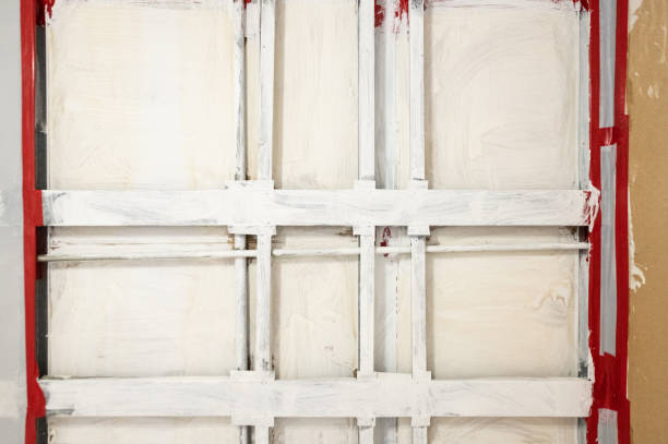Environmental Consulting for Mold Prevention in Canonsburg, PA