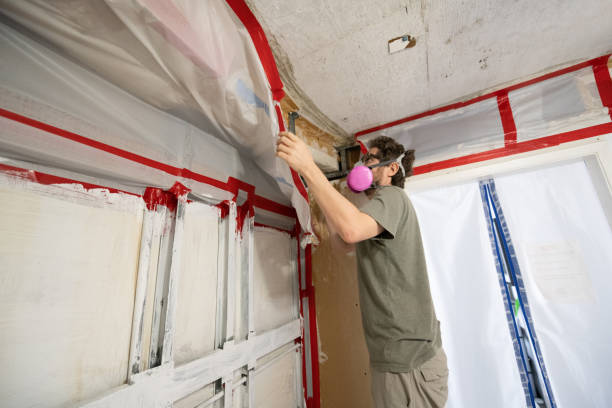 Best Airborne Mold Testing  in Canonsburg, PA